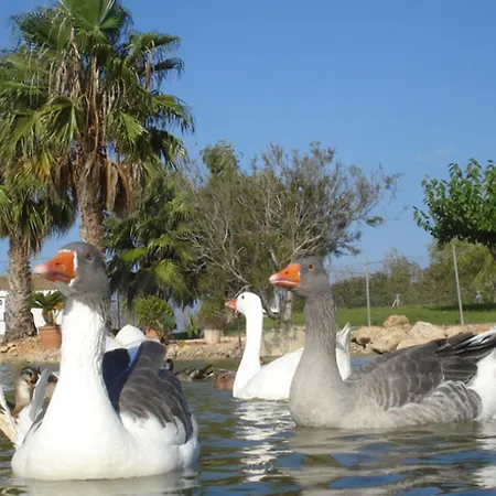 Casa Lo Fangar - Delta De L'ebre 1 Habitacio Doble 1 Llitera *